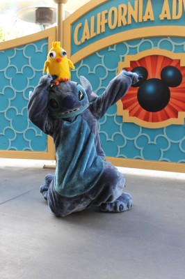 Ducky_Momo_2012_Halloween_11_Stitch