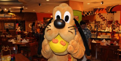 Ducky_Momo_2013_Christmas_06_Pluto_03