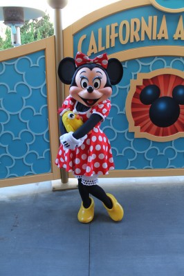 Ducky_Momo_2013_Christmas_11_Minnie_Mouse