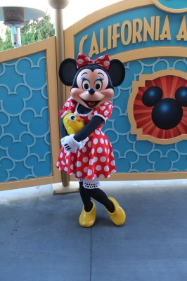 Ducky_Momo_2013_Christmas_11_Minnie_Mouse